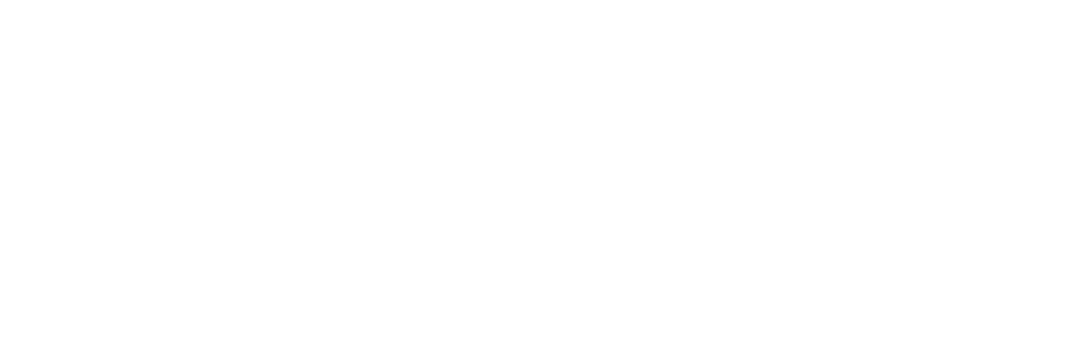 Braser Digital